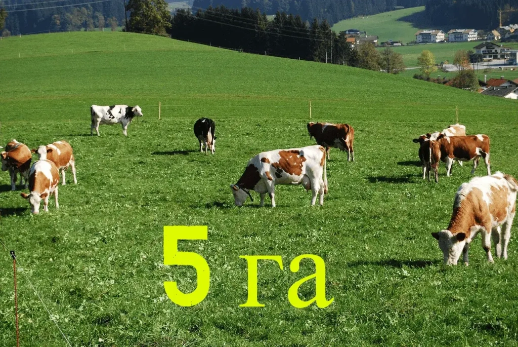 Комплект электропастуха на 5 га (для КРС, лошадей)