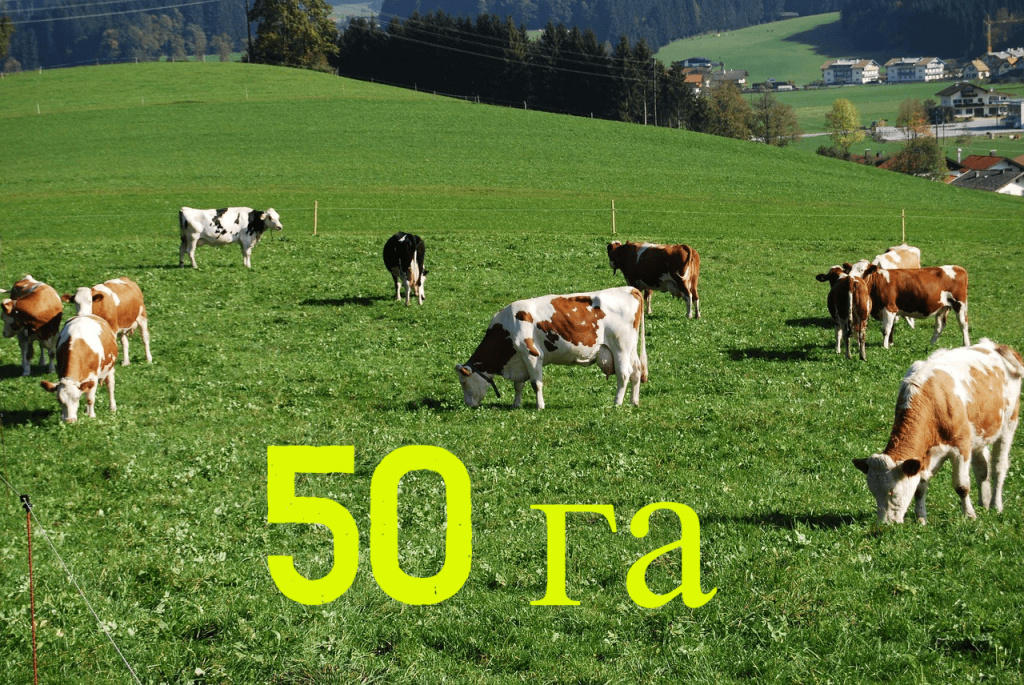 Комплект электропастуха на 50 га (для КРС, лошадей).jpg